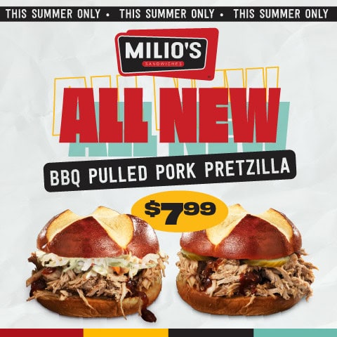 2025-05-BBQPorkPretzilla-Digital-WebSlider-480×480-REFERENCE